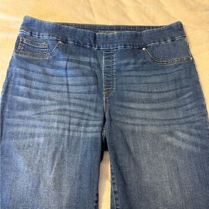 Chico's Indigo Slim Fit Jeans